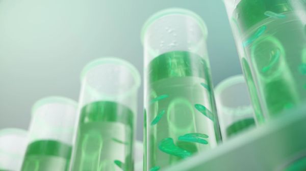 Exploitation de la bioraffinerie de la Mède